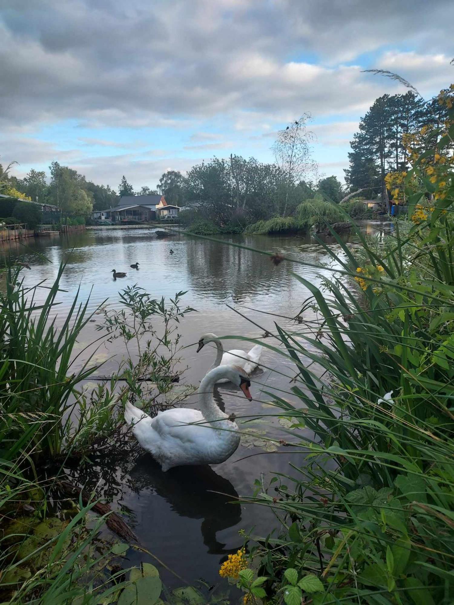 Rustig Gelegen Solvo Met Terras Aan Het Water Geel